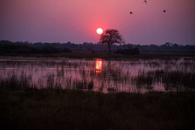 botswana-1022405_640 (tonyo_au, CC0)