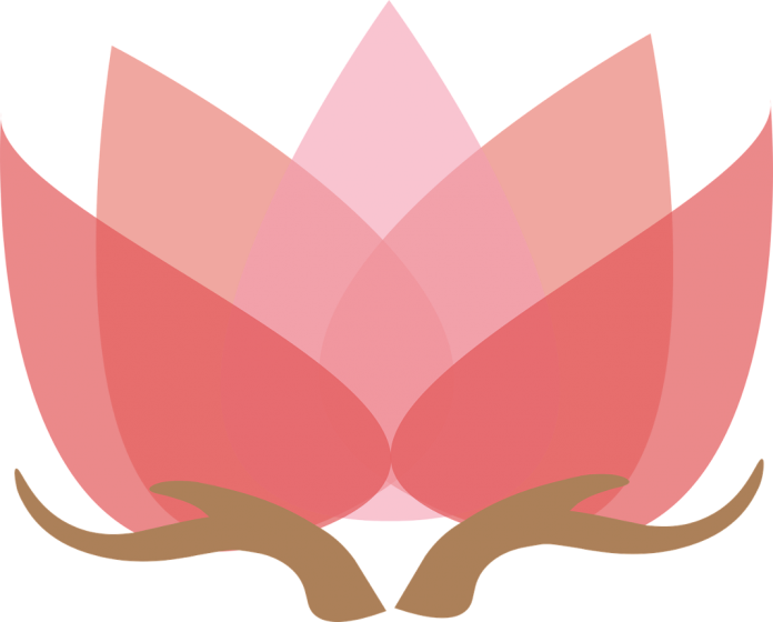 lotus-with-hands-1889661_1280 La flor de loto, que en Oriente se asocia a la pureza espiritual, especialmente en el budismo. Imagen CC0. Autor: unclelkt.