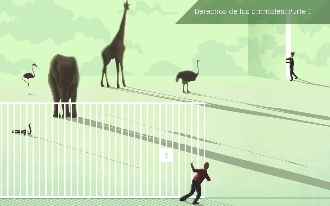 Dosier Animales La relación entre los humanos y los animales ha estimulado el pensamiento de los intelectuales desde hace siglos. Imagen: © Ana Yael.