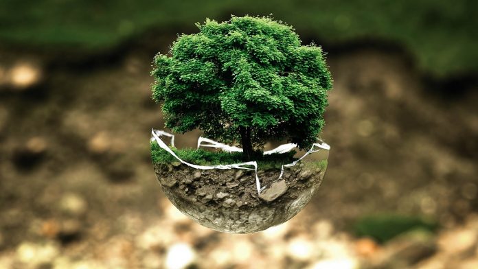Pixabay / environmental-protection-683437_1280 El sabio, para el estoicismo, es el que no necesita de nada ni nadie para ser feliz.