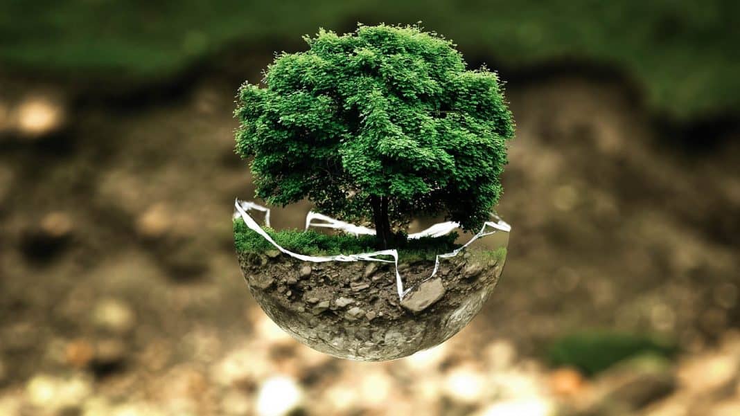 Pixabay / environmental-protection-683437_1280 El sabio, para el estoicismo, es el que no necesita de nada ni nadie para ser feliz.