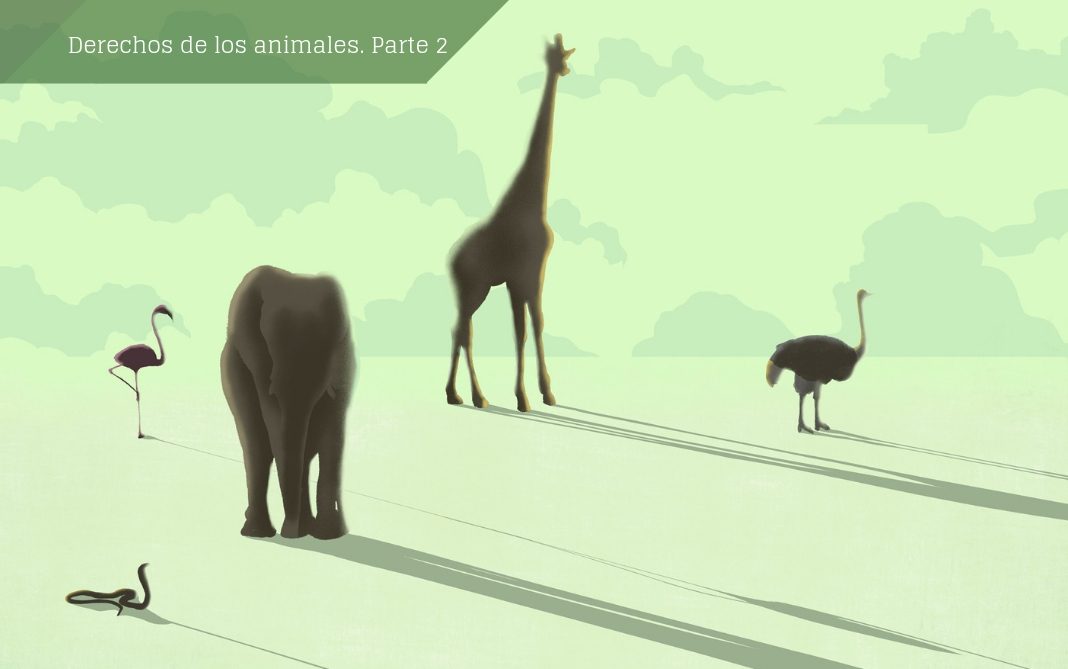 Dosier Animales Parte 2 Un derecho, en sentido estricto, es un permiso. Una libertad de acción o beneficio de un individuo que los demás, por ley, tienen obligación de respetar y proporcionar. ¿Quién puede tener derechos? Cualquier agente capaz de gozar de libertad o cualquier entidad capaz de ser beneficiada. Los animales también. © Ana Yael.