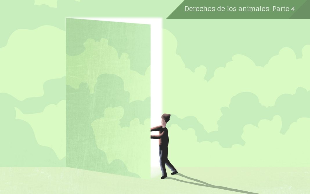 Dosier Derechos de los animales-Parte 4 La bioética se ocupa de analizar las preguntas éticas motivadas por la ciencia y la tecnología en la vida y la muerte de los individuos, incluidos los animales. © Ana Yael
