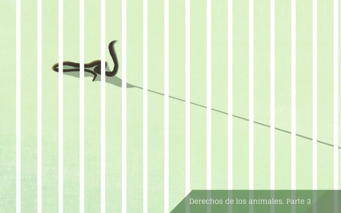 Dosier Animales Parte 3 Superioridad e inferioridad entre especies.