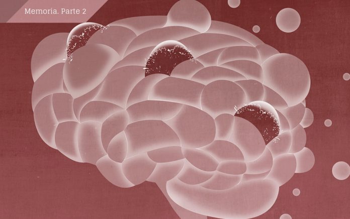 Dosier Memoria. Parte 2 portada ana yael Básicamente, la memoria son los cambios que se producen en el cerebro para retener y almacenar lo que aprendemos. Es lo que nos permite relacionar el presente con el pasado y proyectar nuestras ideas hacia el futuro. Imagen: Ana Yael.