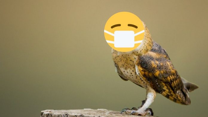 Covid-19 y la filosofía El filósofo colombiano Jaime Santamaría reflexiona sobre el papel de la filosofía y el análisis que los filósofos hacen del Covid-19 en la crisis del coronavirus. Diseño hecho a partir de una imagen de Jean van der Meulen en Pixabay.
