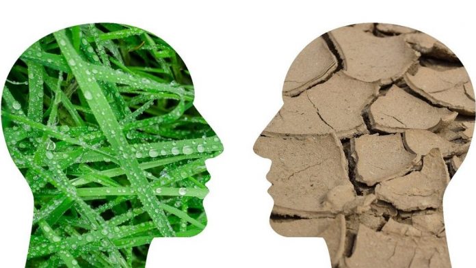 Urgencia ecológica. Imagen de Tumisu en Pixabay Leonardo Ordóñez enfrenta las dos vertientes de las consecuencias del confinamiento debido al coronavirus: por un lado, los beneficios para la naturaleza, menores índices de contaminación y respiro de la fauna arrinconada por la acción humana; por otro, la preocupación y el desgarro por la destrucción de la salud y vidas humanas y la inquietud por los efectos adversos de la parálisis económica.
