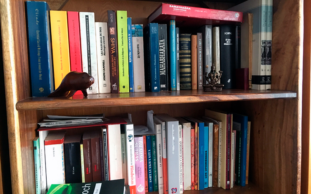 Carlos M. Gómez: «La trascendencia es una crítica profunda a nuestras seguridades» Vista de una parte de la biblioteca de Carlos Miguel Gómez Rincón. Foto: Amaranta Gómez.