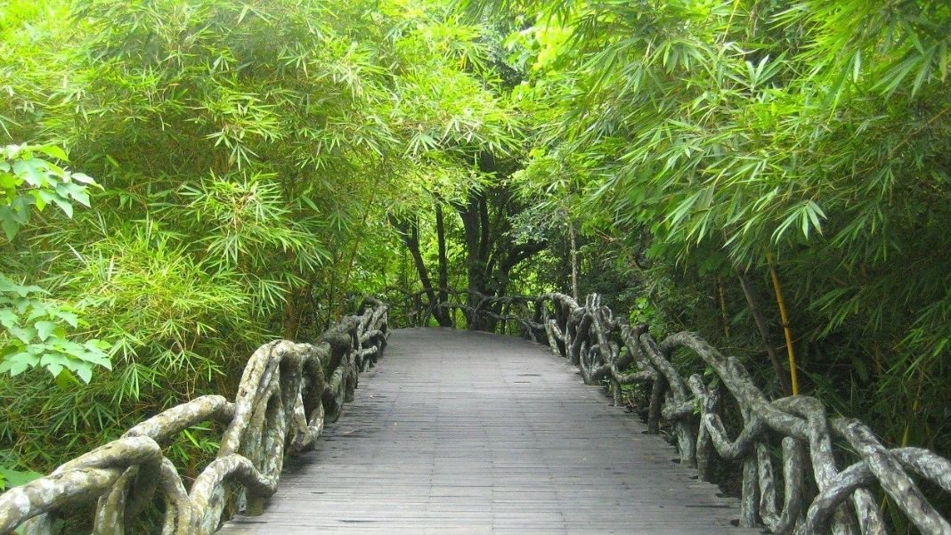 El camino de Chuang Tzu «El camino de Chuang Tzu», de Thomas Merton, místico estadounidense del siglo XX, es un libro en el que se dan la mano dos pensadores a los que separan milenios pero que están unidos por un mismo sendero que lleva al entendimiento de la realidad: como nexo entre y hacia la trascendencia.