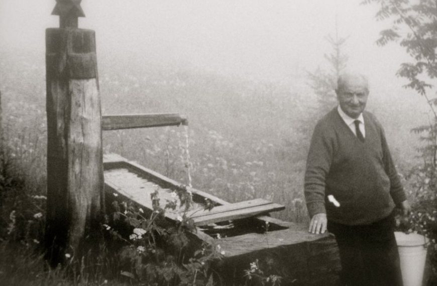 Heidegger: deshaciendo el olvido del Ser
